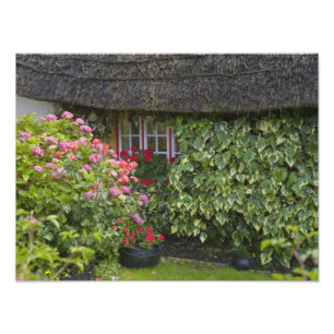 Thatched cottage, Adare, County Limerick, Photo Print
