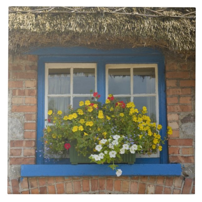 Thatched cottage, Adare, County Limerick, Tile (Front)