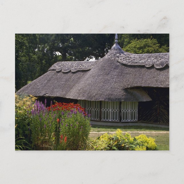 Thatched cottage, England in Europe Postcard (Front)