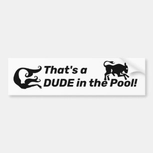 That's a DUDE in the Pool! Stop Erasing Women  Bumper Sticker