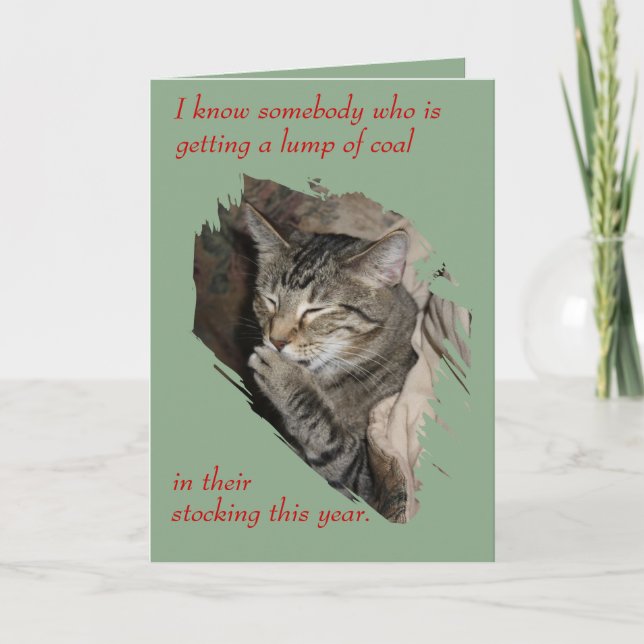 Thats Not Coal Laughing Cat Christmas card (Front)