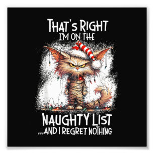 That's Right I'm On The Naughty List And I Regret  Photo Print