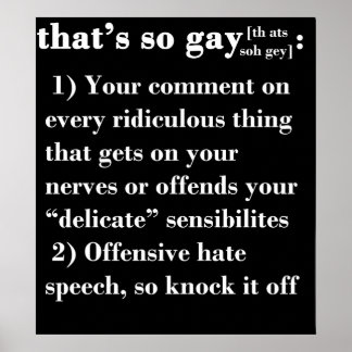 That's So Gay Poster