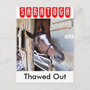 Thawed Out Postcard