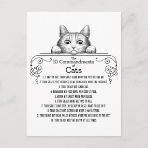 The 10 Commandments of Cats Funny Postcard
