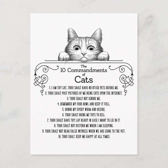 The 10 Commandments of Cats Funny Postcard (Front)
