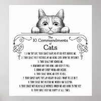 The 10 Commandments of Cats Funny