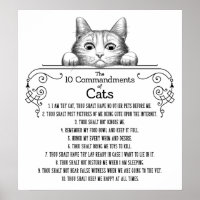 The 10 Commandments of Cats Funny