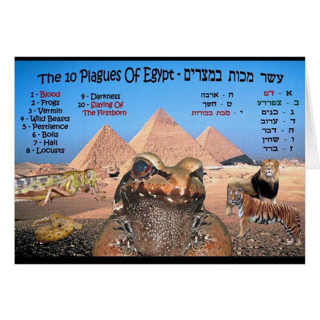 The 10 Plagues Of Egypt (Front Horizontal)
