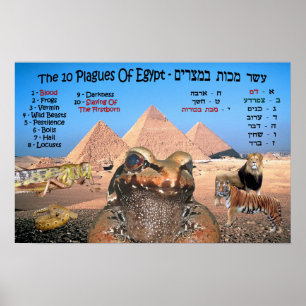 The 10 Plagues Of Egypt - English & Hebrew Poster