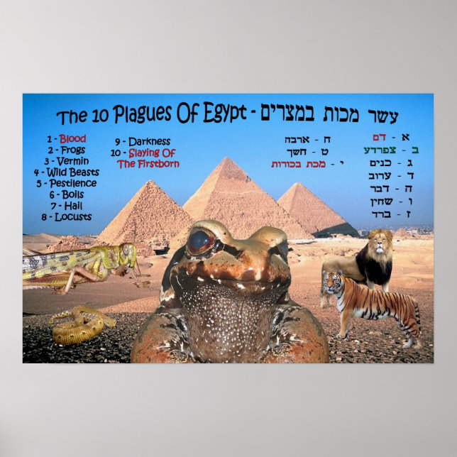 The 10 Plagues Of Egypt - English & Hebrew Poster (Front)