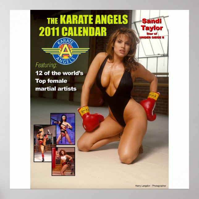 The_2011_Karate_Angels_Calendar Poster (Front)