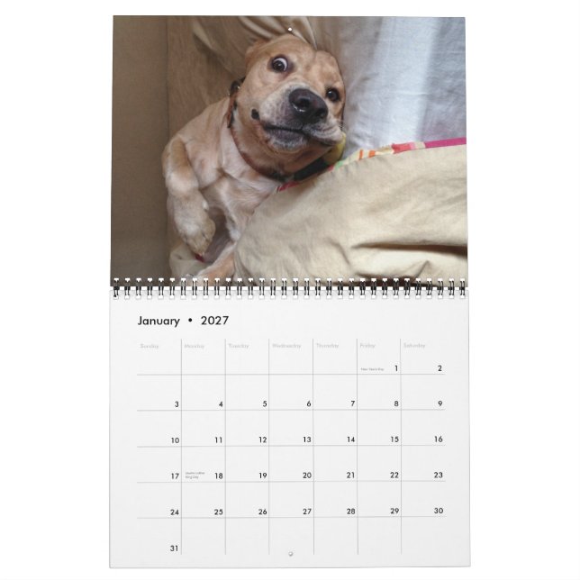 The 2013 "My Dog Dirk" Calendar (Jan 2027)