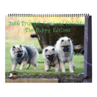 The 2016 Trumpet Keeshond Calendar : Puppy Edition
