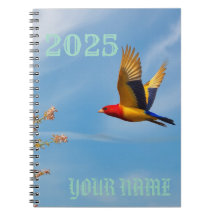 The 2025 notebook 