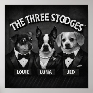 "The 2 Dooges" Poster
