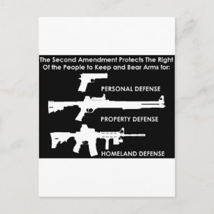 The 2nd Amendment Protects... Postcard