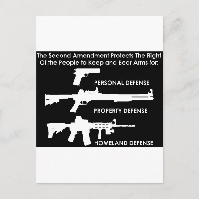 The 2nd Amendment Protects... Postcard (Front)