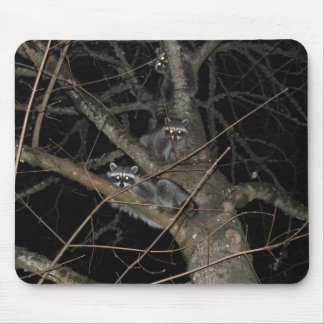 The 3 Bandits Mouse Mat