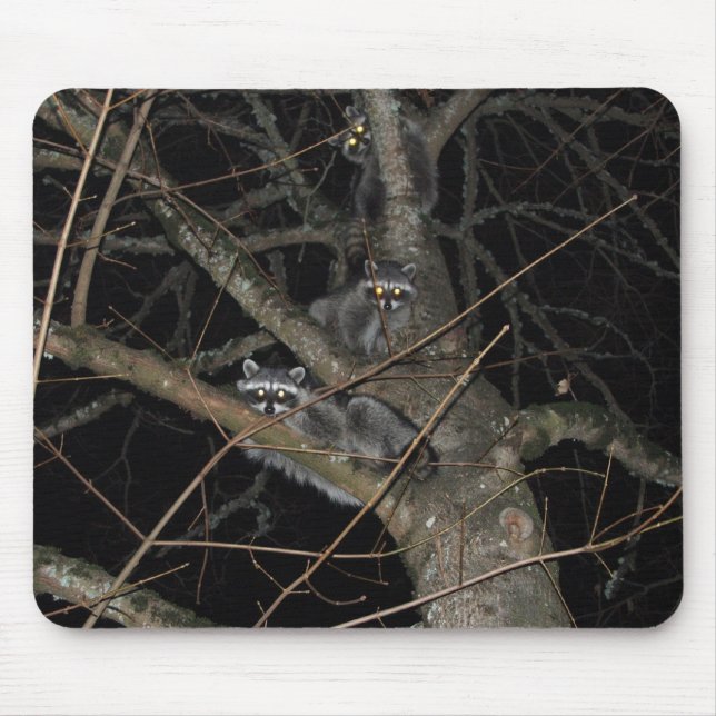 The 3 Bandits Mouse Mat (Front)