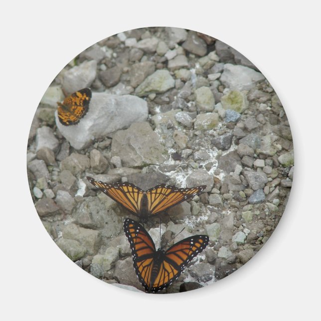 The 3 Butterflies Magnet (Front)