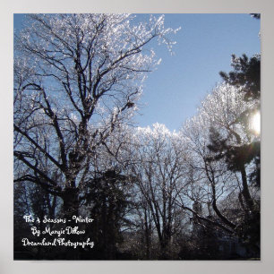 The 4 Seasons - Winter Poster
