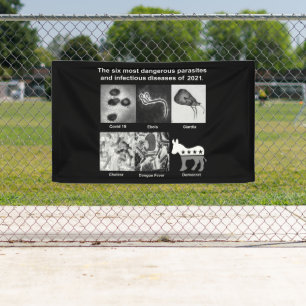 The 6 most dangerous parasites & infectious 2021 banner
