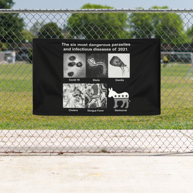 The 6 most dangerous parasites & infectious 2021 banner (Insitu)