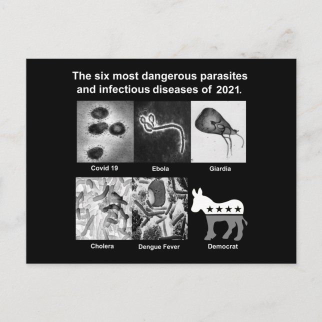 The 6 most dangerous parasites & infectious 2021 postcard (Front)