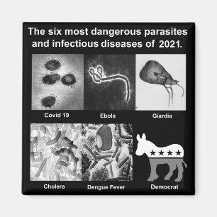 The 6 most dangerous parasites & infectious magnet