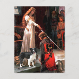 The Accolade - Border Collie (Z) Postcard