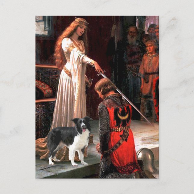 The Accolade - Border Collie (Z) Postcard (Front)