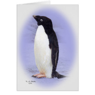 The Ade'lie Penguin Card