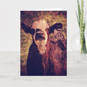 The Adorable Calf, Father's Day Card