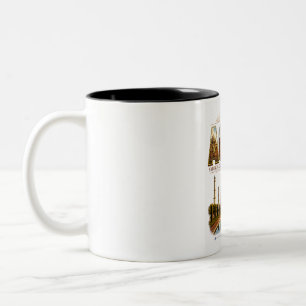 The "Agra" Mug