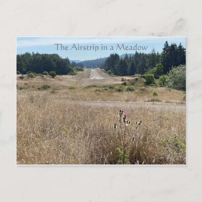 The Airstrip in a Meadow Postcard (Front)