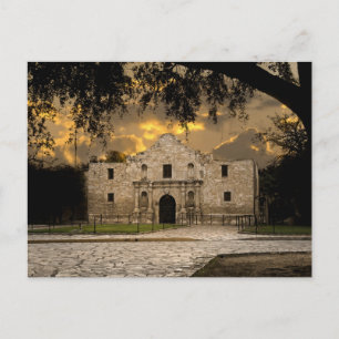 The Alamo Postcard
