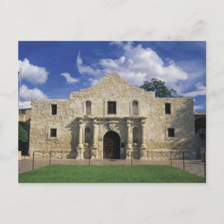 The Alamo Postcard