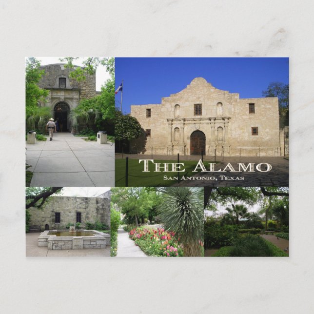 The Alamo, San Antonio, Texas Postcard (Front)
