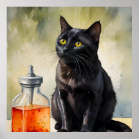 The Alchemist’s Cat