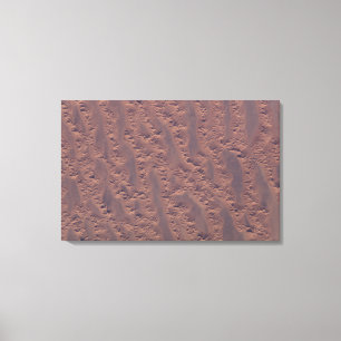 The Algerian desert Canvas Print