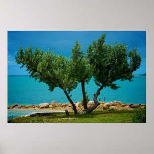 The "All You Need is Love" Tree ! Poster