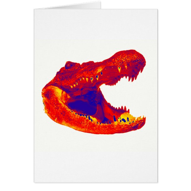 THE ALLIGATOR TERRITORY (Front)