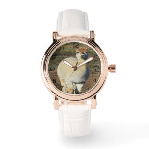 The Alpaca Grin: Woolly Cream Alpaca Grin, Watch