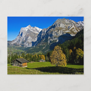 The Alps, Switzerland - Postcard