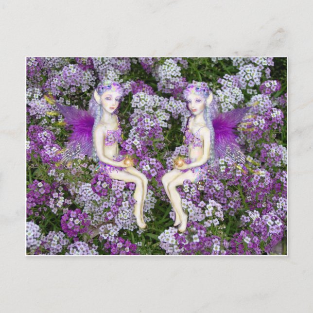 The Alyssum Twin Fairies Postcard (Front)