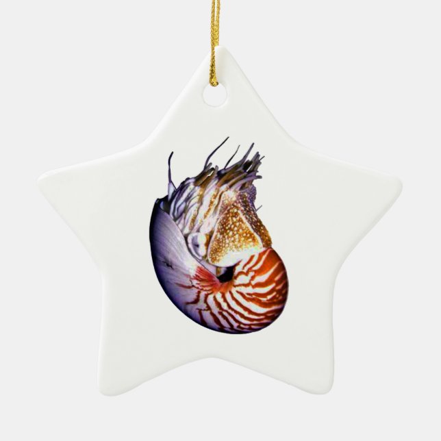 THE AMAZING NAUTILUS CERAMIC TREE DECORATION (Front)