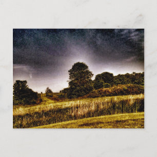 The Amazing Park Postcard