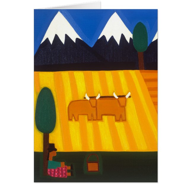 The Amazing View 2006 (Front)