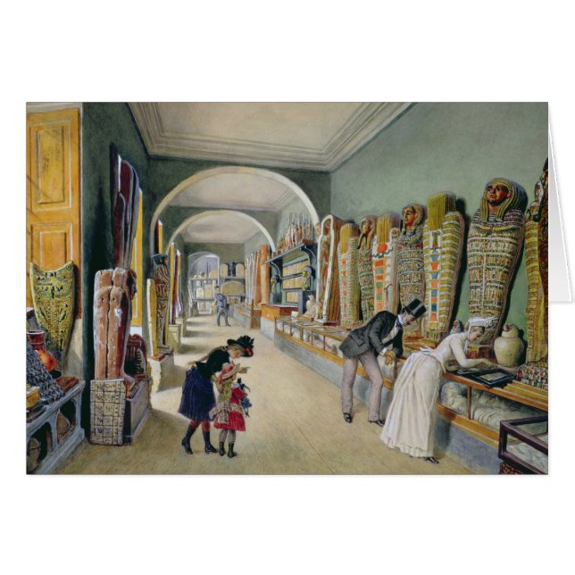 The Ambraser Collection of the Lower (Front Horizontal)